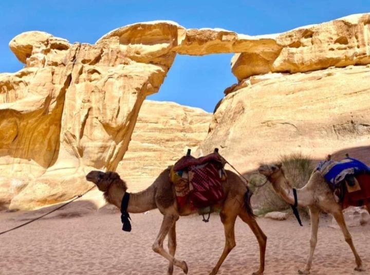 Desert Star Camp Wadi Rum Exterior foto